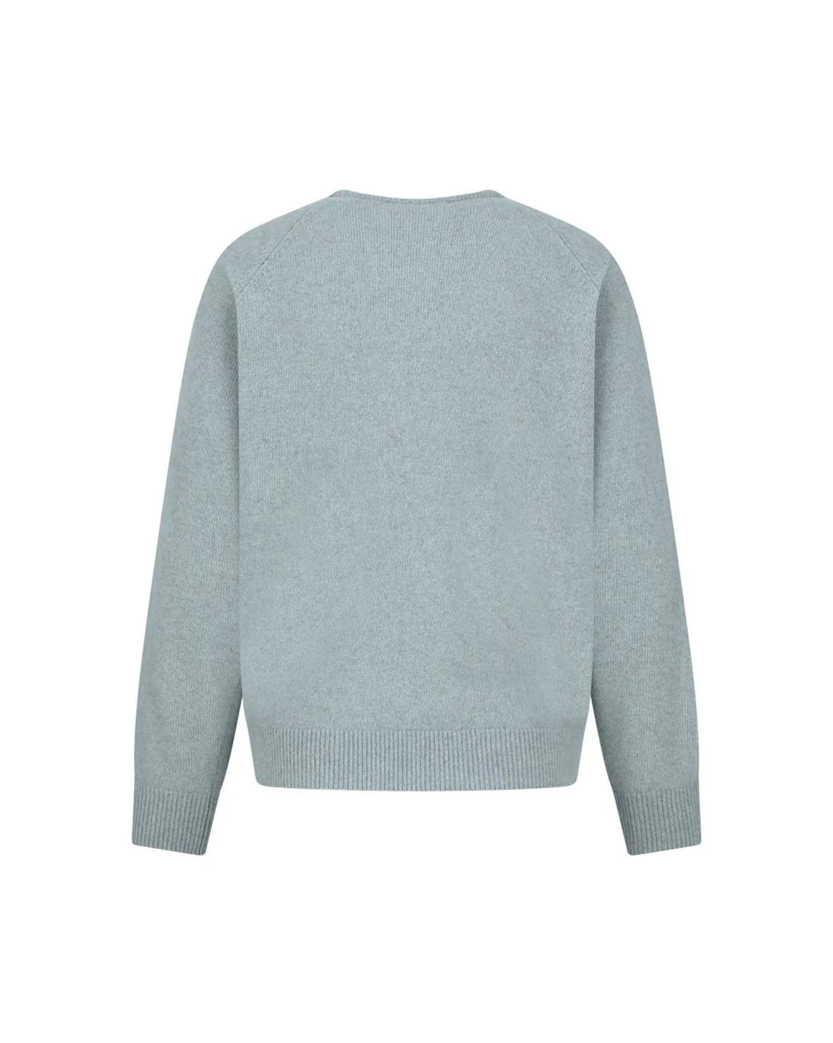Racoon V-Neck Knit Mint