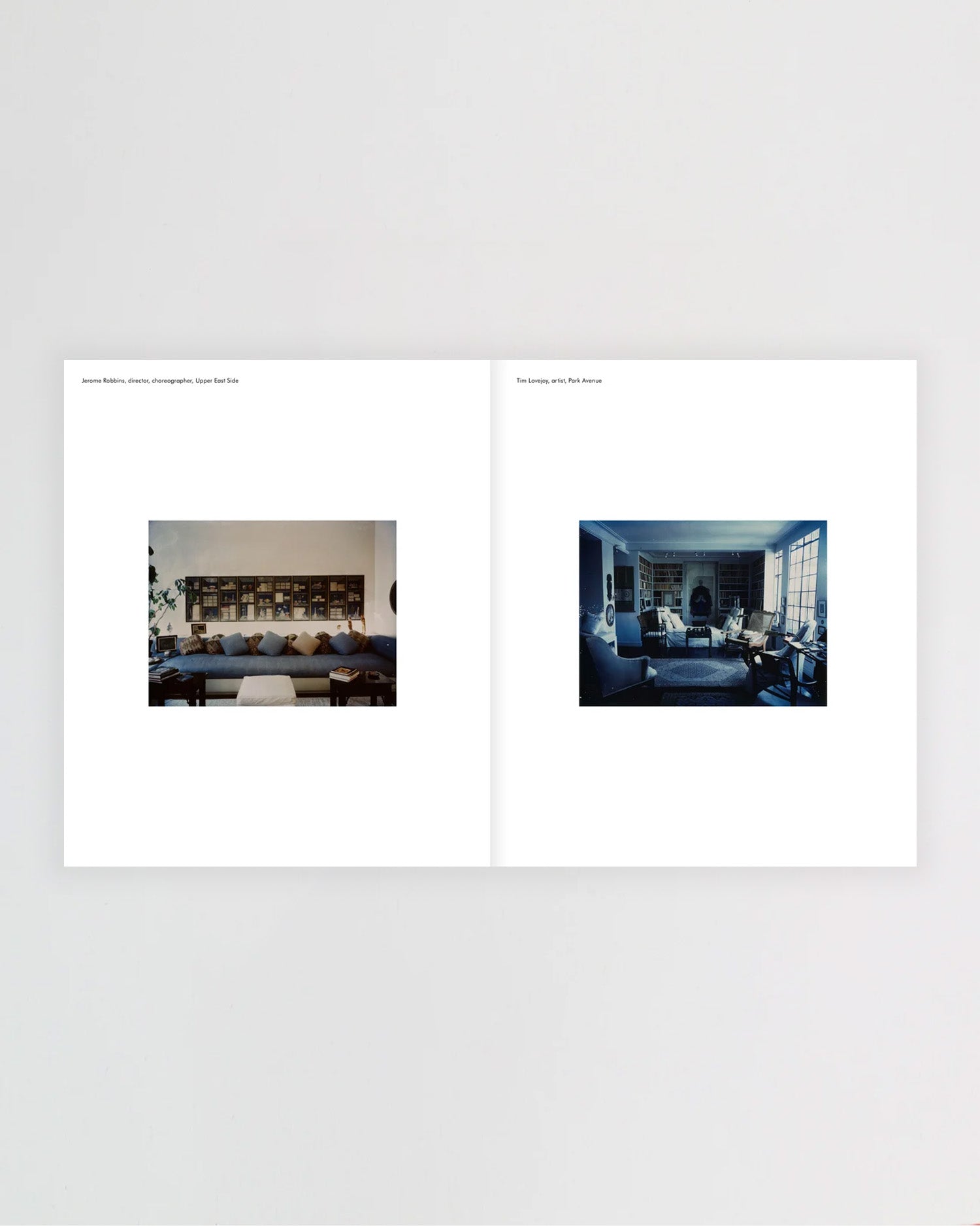 New York Living Rooms, Dominique Nabokov