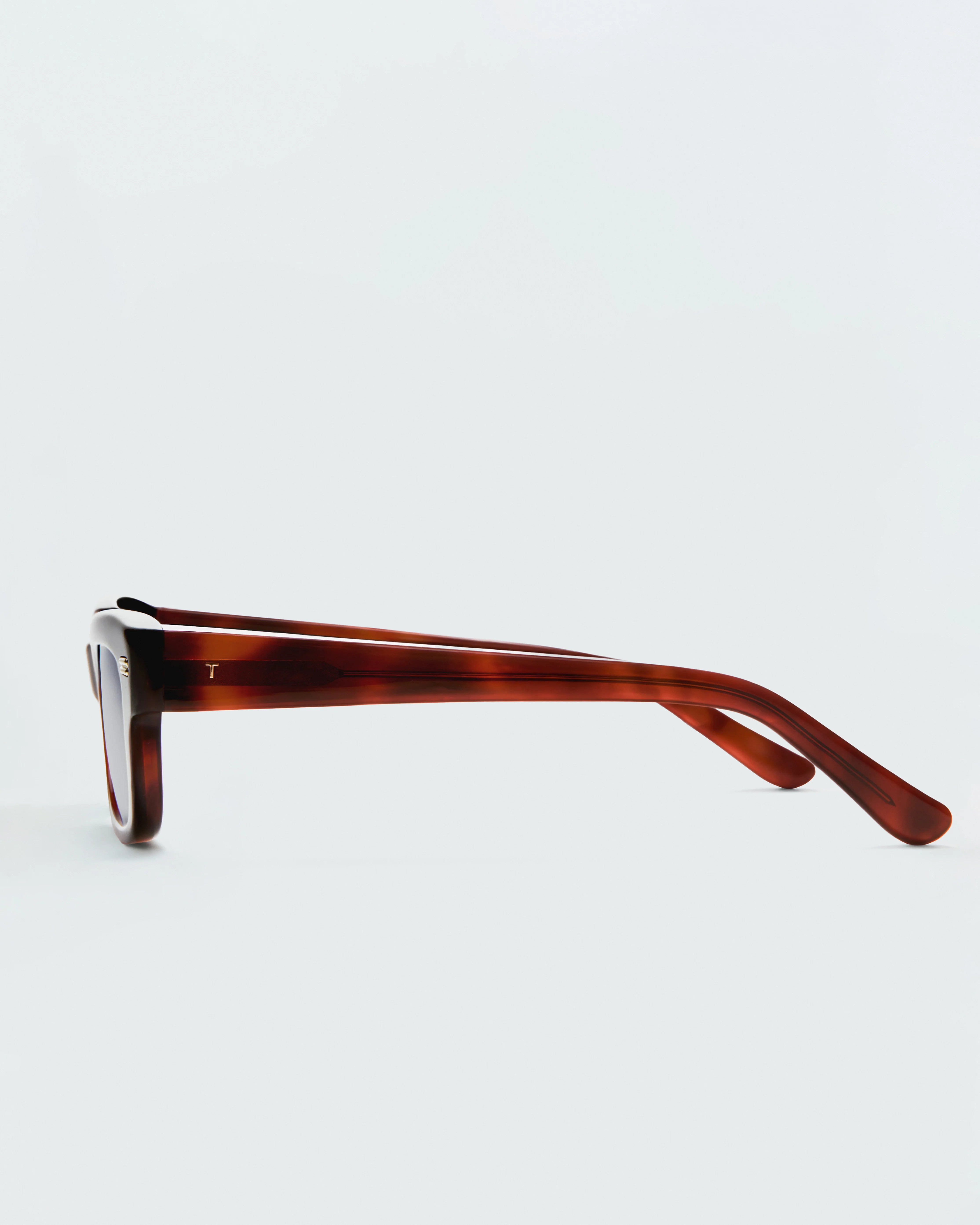 The Jack Dark Tortoise & Black